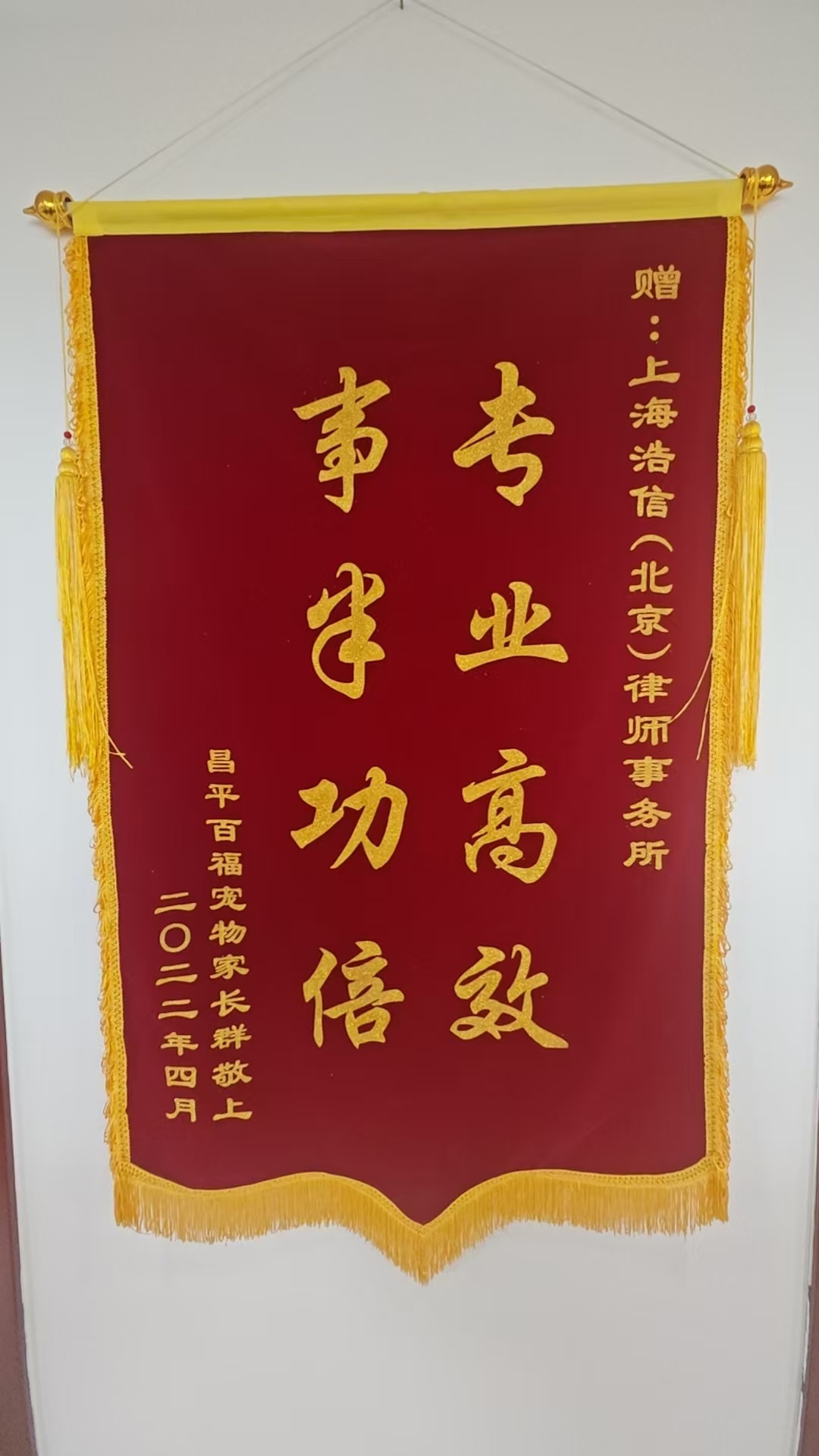 锦旗：专业高效 事半功倍