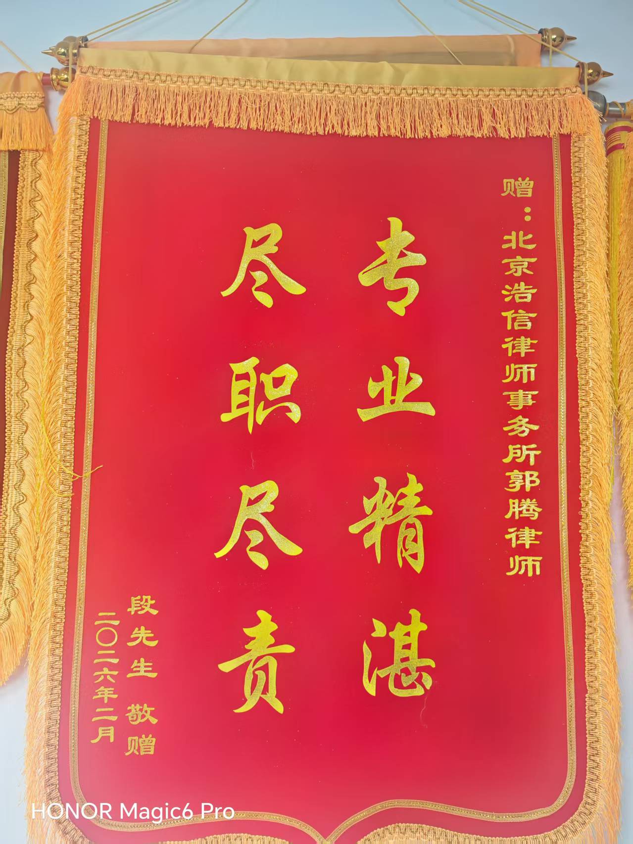 锦旗：专业精湛 尽职尽责